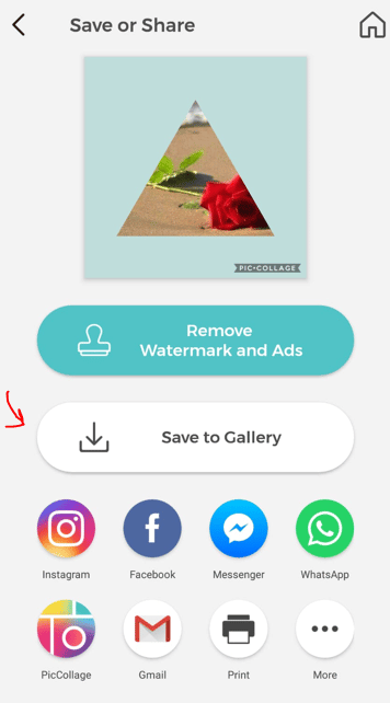 إنشاء مشروع جديد PicCollage