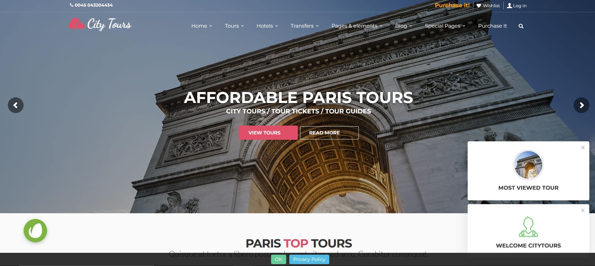 قالب ووردبريس CityTours