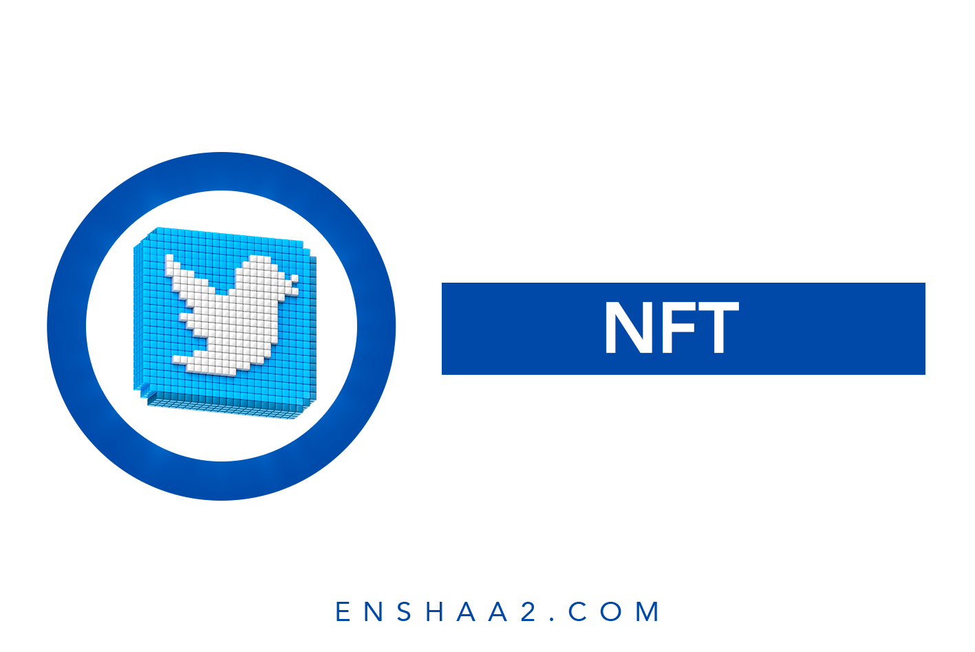 خيار عرض صورة ملف تعريف NFT