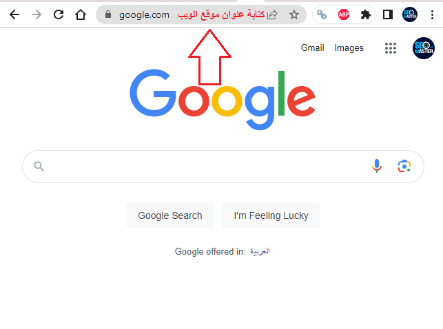 خطوات البحث